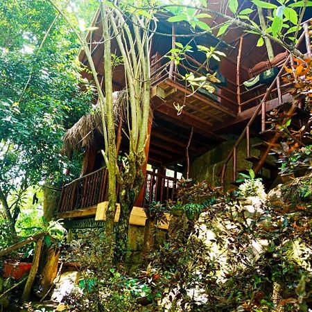 Jungle Face Inn Ела Екстериор снимка