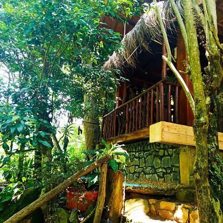 Jungle Face Inn Ела Екстериор снимка