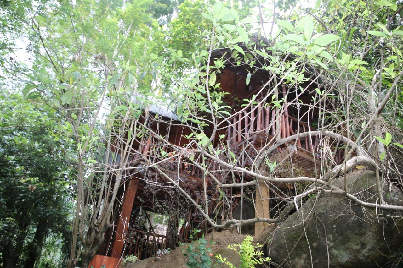 Jungle Face Inn Ела Екстериор снимка