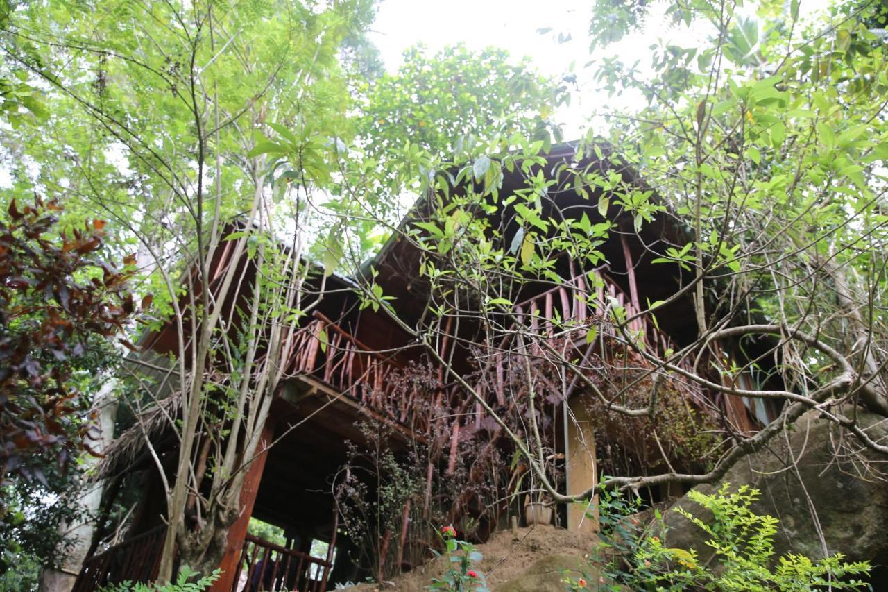 Jungle Face Inn Ела Екстериор снимка