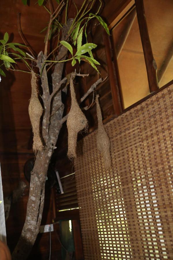 Jungle Face Inn Ела Екстериор снимка