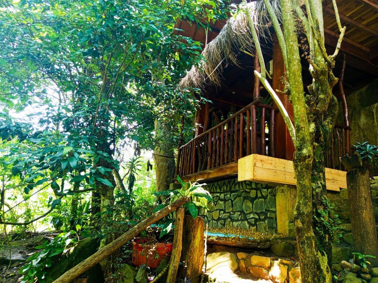 Jungle Face Inn Ела Екстериор снимка