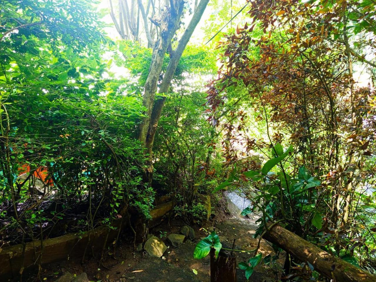 Jungle Face Inn Ела Екстериор снимка