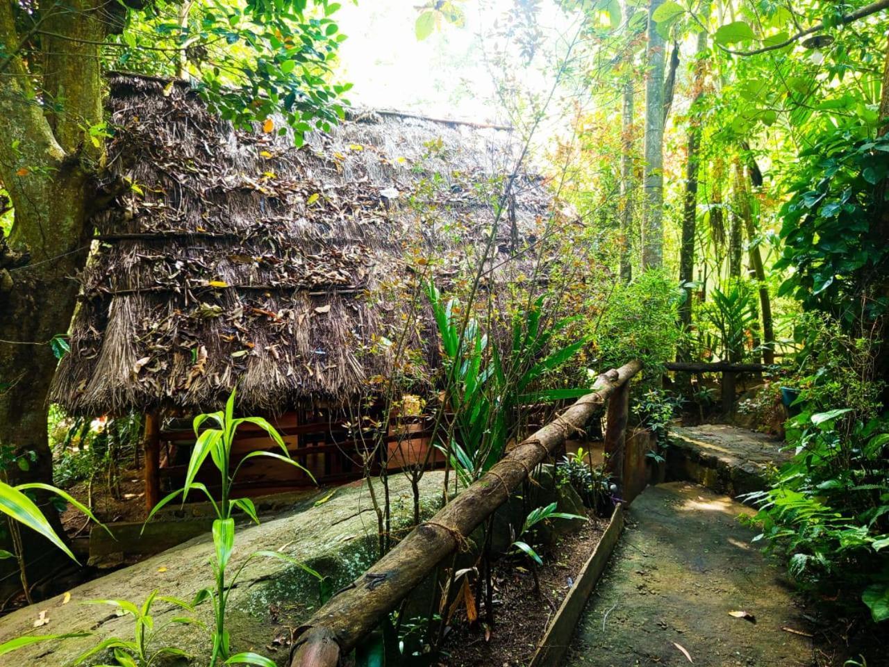 Jungle Face Inn Ела Екстериор снимка