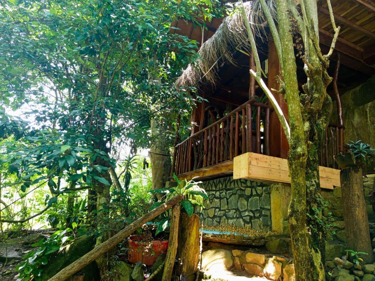 Jungle Face Inn Ела Екстериор снимка