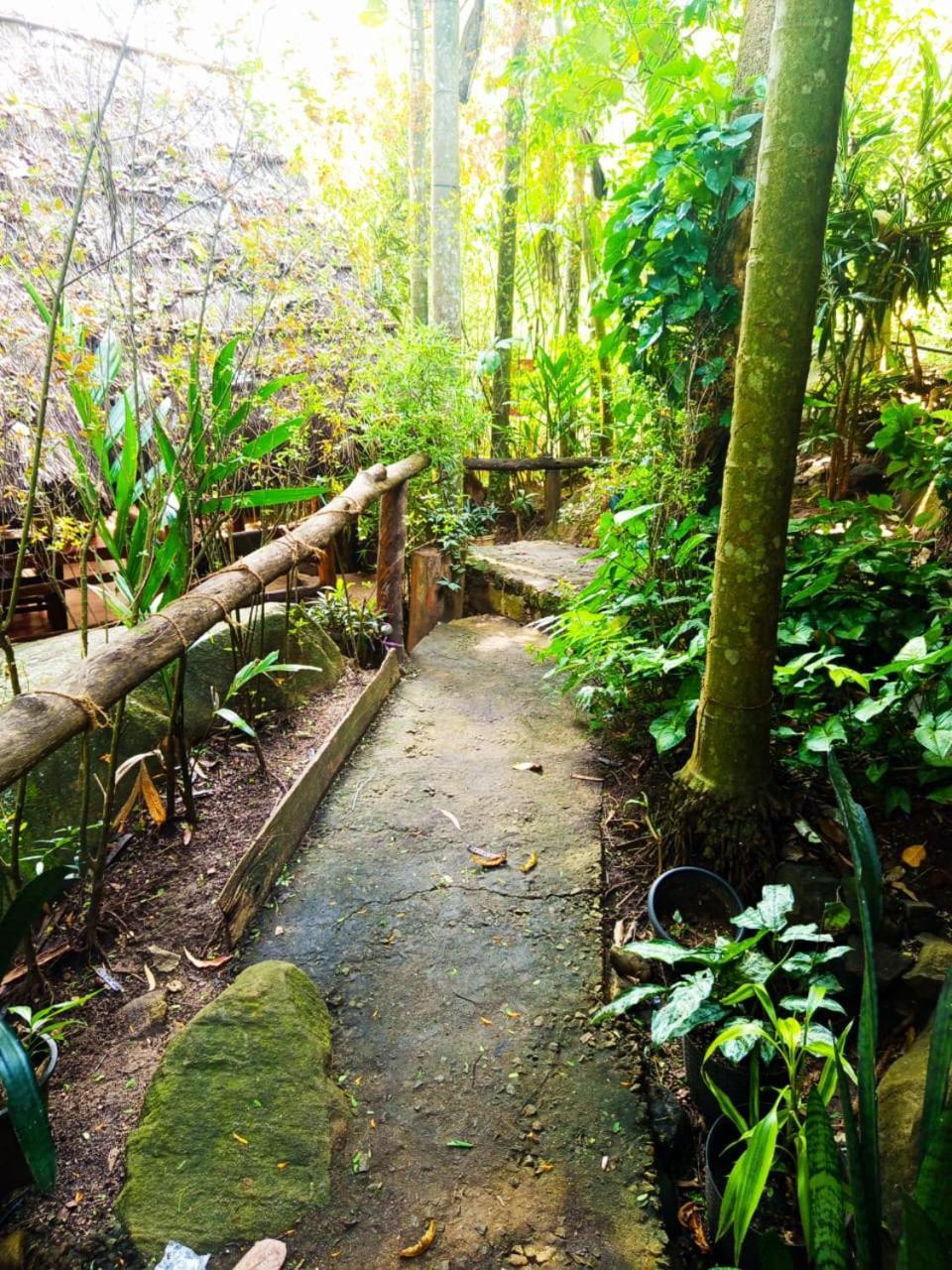 Jungle Face Inn Ела Екстериор снимка