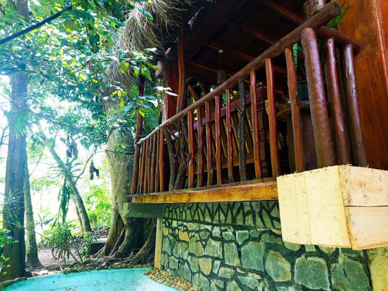 Jungle Face Inn Ела Екстериор снимка