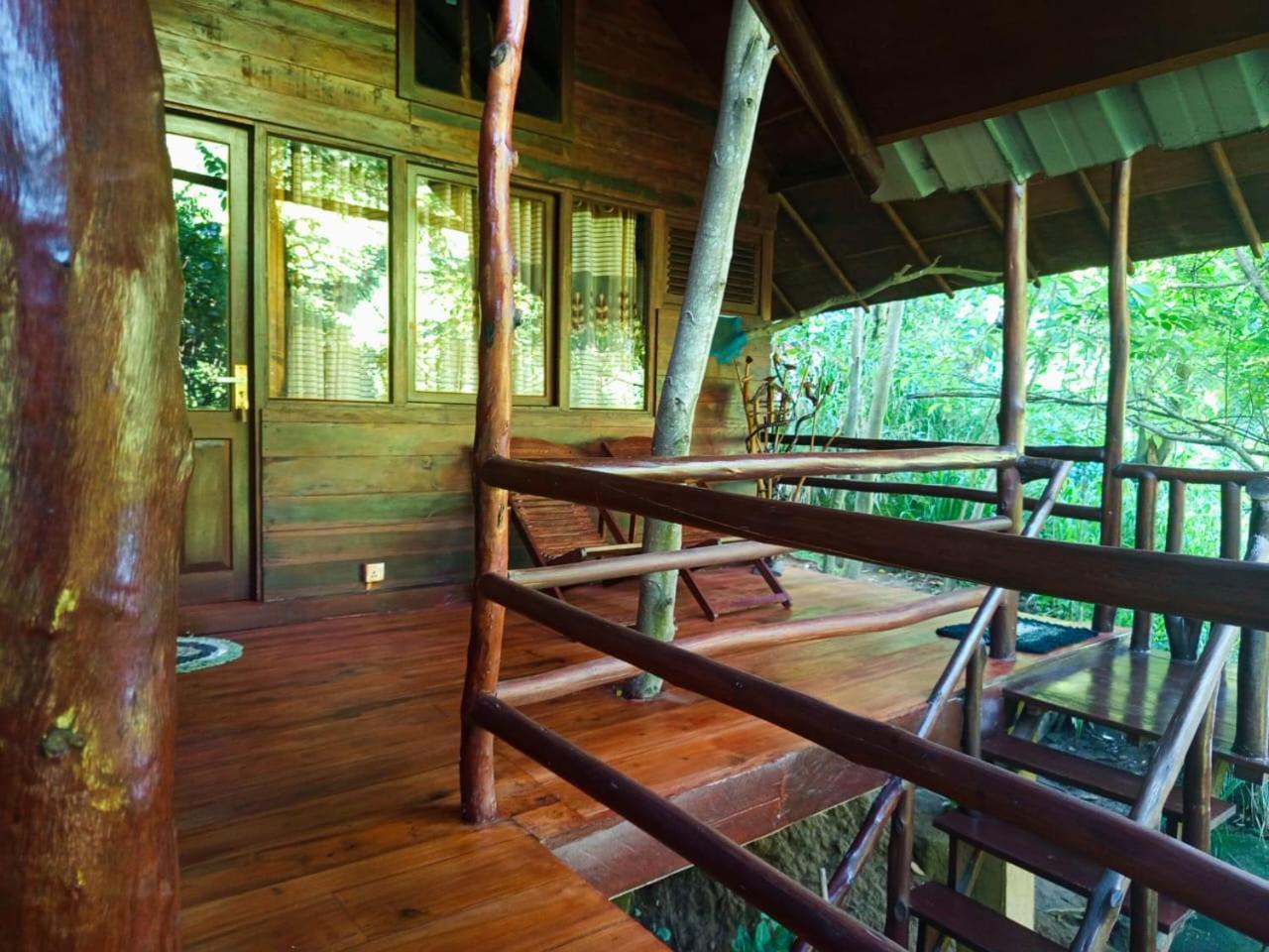 Jungle Face Inn Ела Екстериор снимка