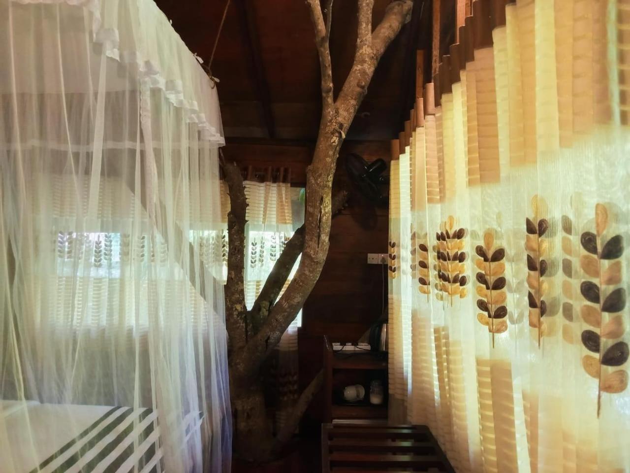 Jungle Face Inn Ела Екстериор снимка