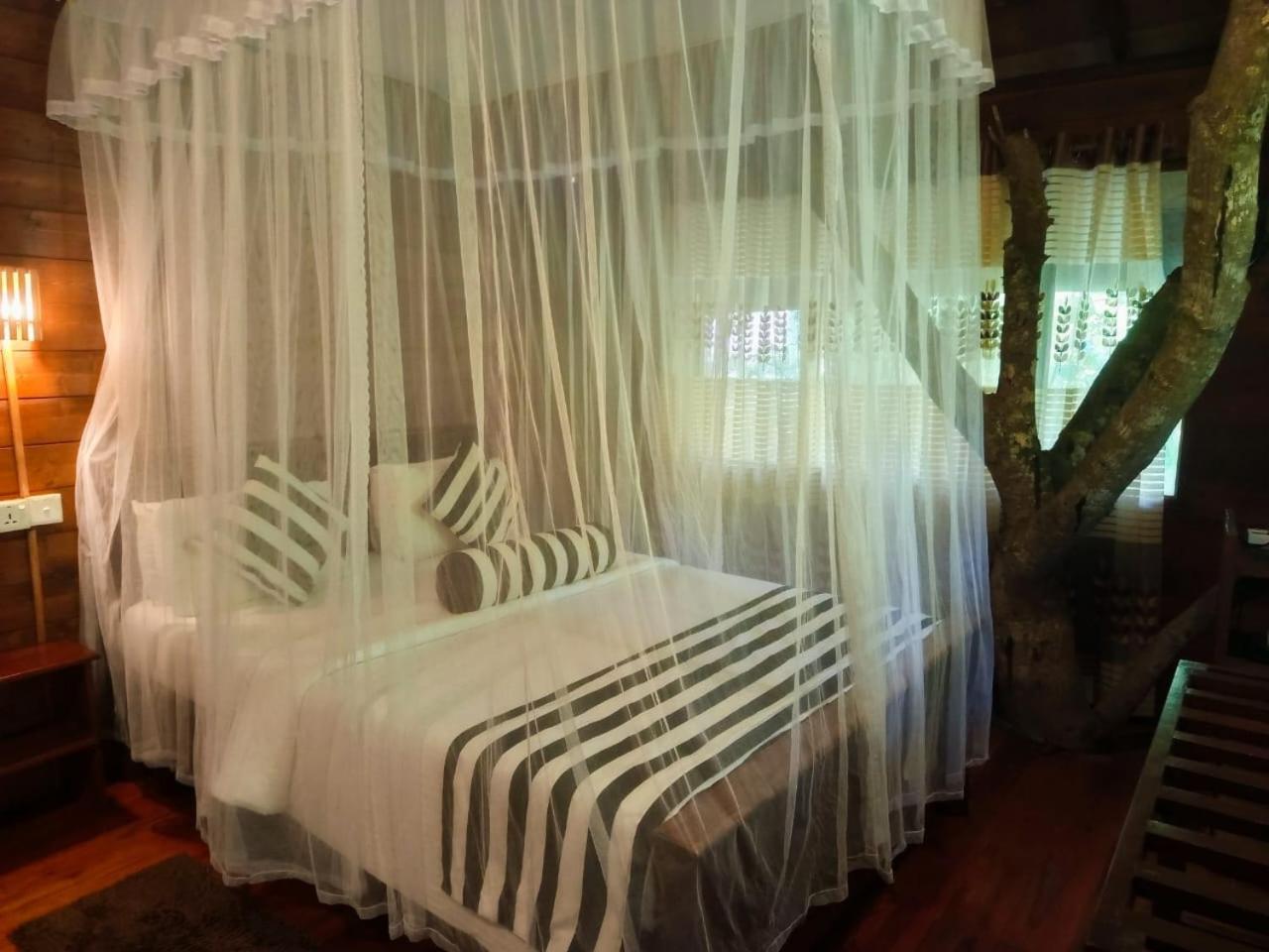 Jungle Face Inn Ела Екстериор снимка