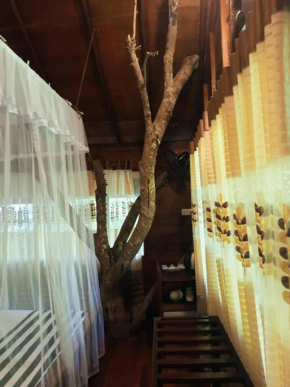 Jungle Face Inn Ела Екстериор снимка
