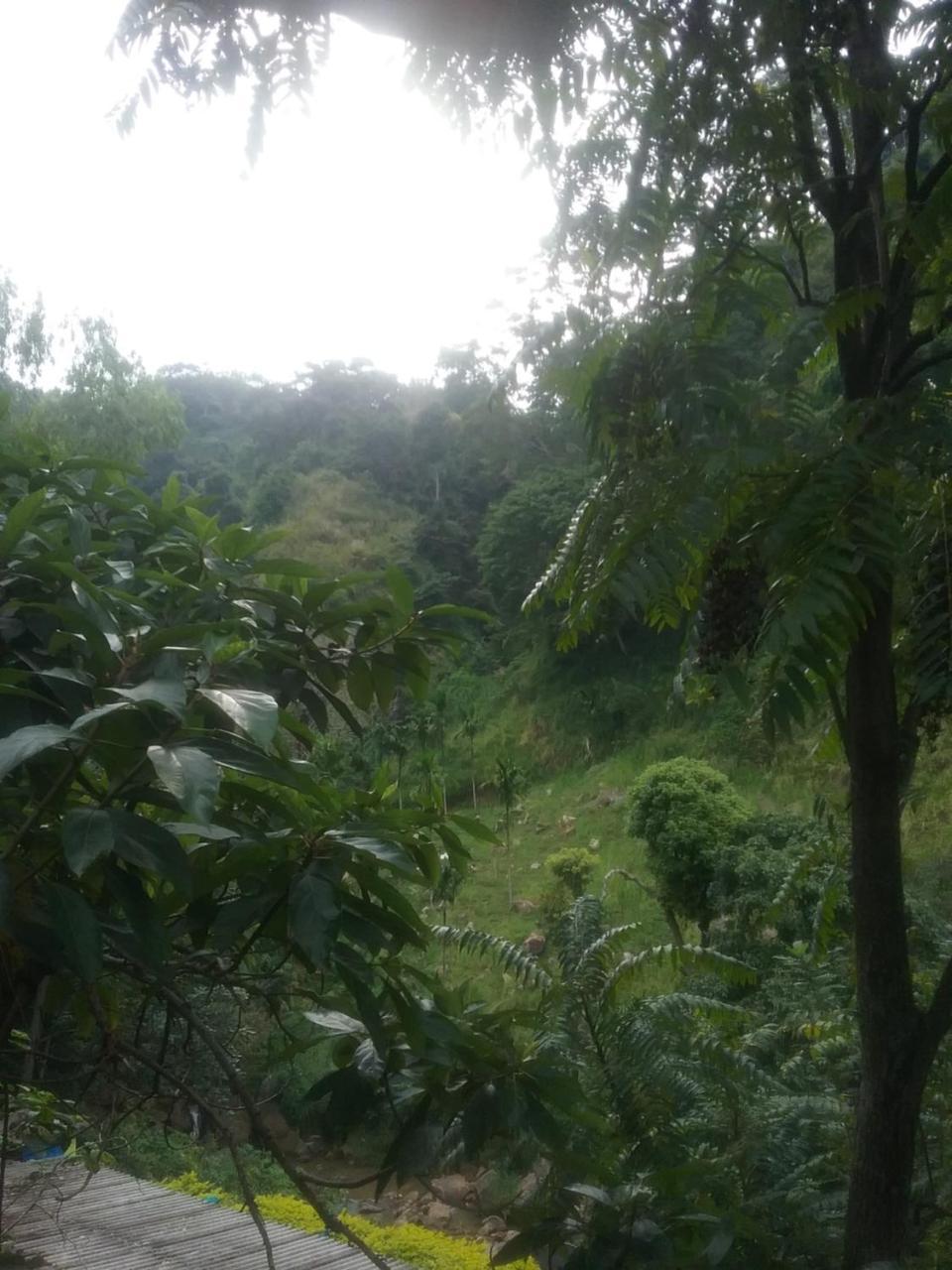 Jungle Face Inn Ела Екстериор снимка