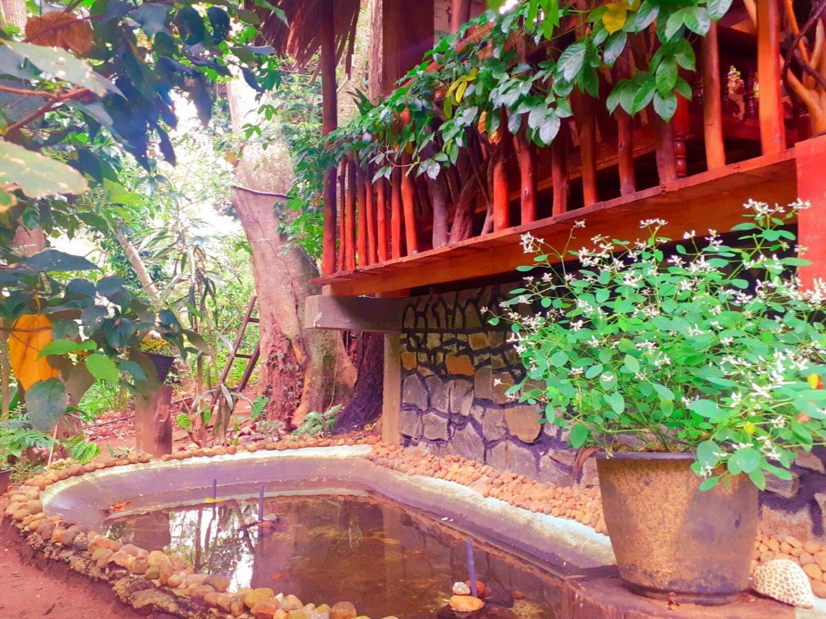 Jungle Face Inn Ела Екстериор снимка