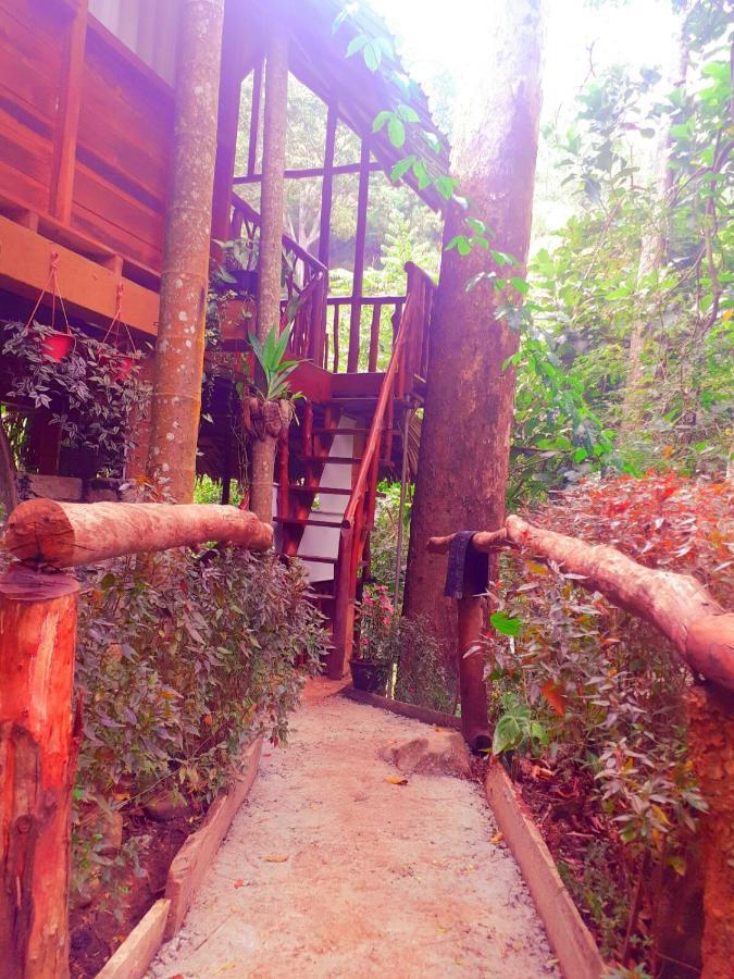 Jungle Face Inn Ела Екстериор снимка